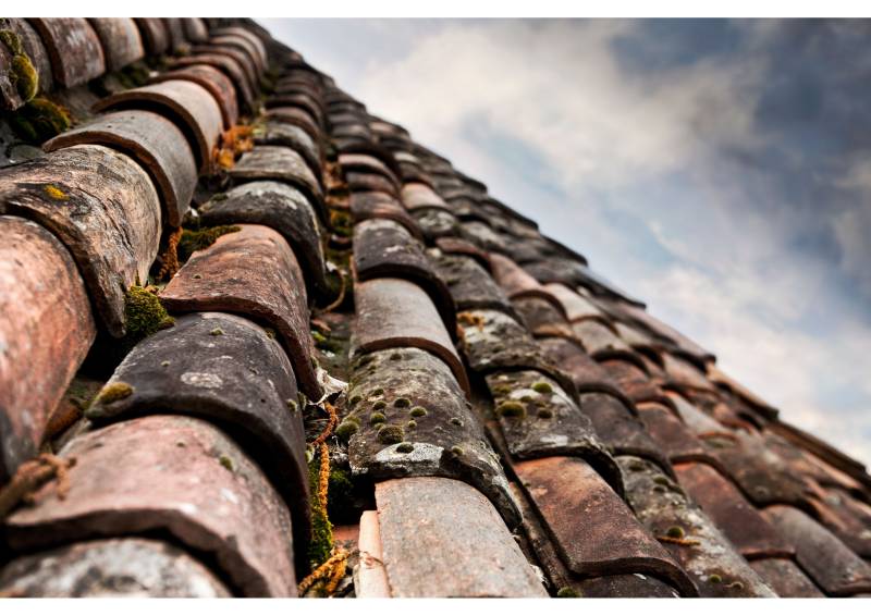 Avant application de traitement de toiture anti-mousse et hydrofuge à Valence (Drôme)