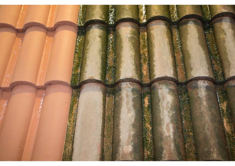 Nettoyage de toiture en tuile à Bourg de Péage (26)